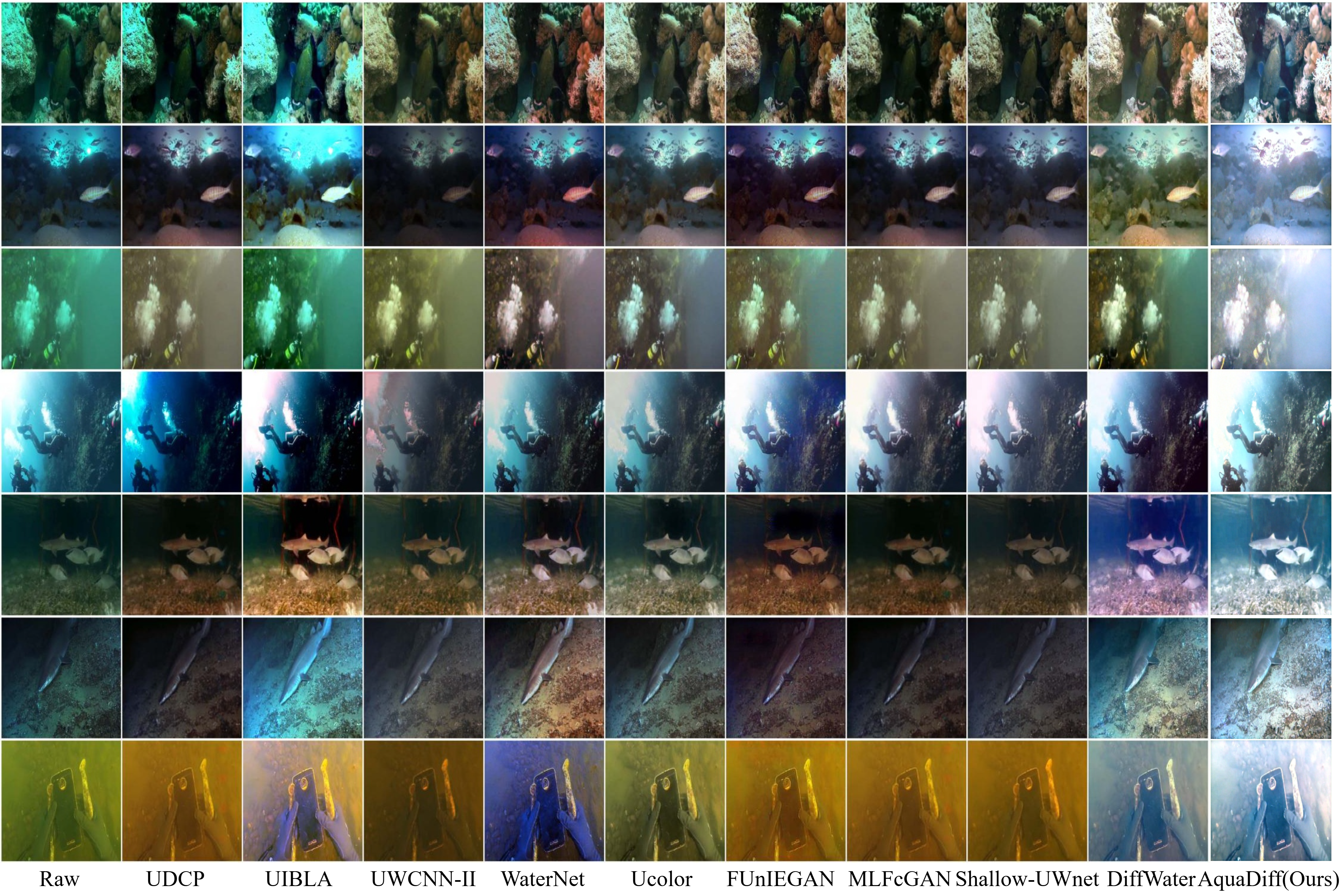 C60 dataset comparison