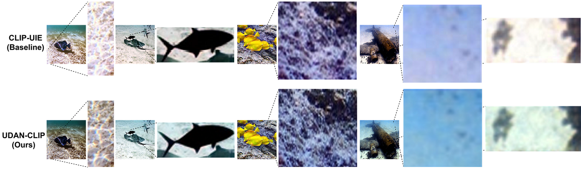 Zoomed analysis 1